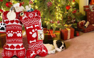 dog-christmas-stocking