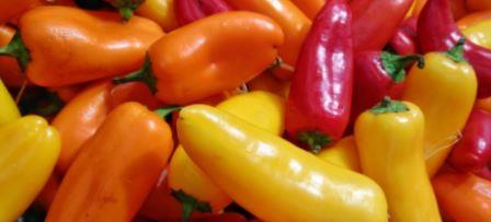 Can dogs eat Pepperoncinis: The Dangers and Controversy Can dogs eat pepperoncinis