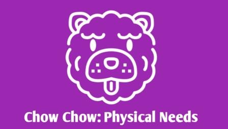 Chow Chow Dog