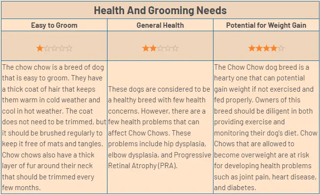 chow-chow-dog-health-and-grooming-needs