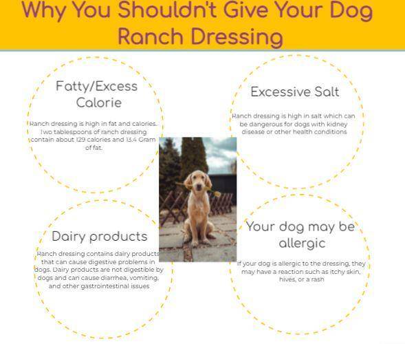 Why You Shouldn't Give Your Dog Ranch Dressing