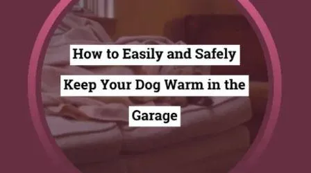 how to keep dogs warm in garage