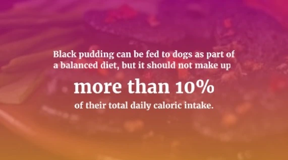 can-dogs-have-black-pudding