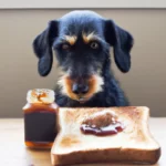 Can Dogs Eat Vegemite and Marmite? The Risks You Need To Know Can dogs eat marmite on toast
