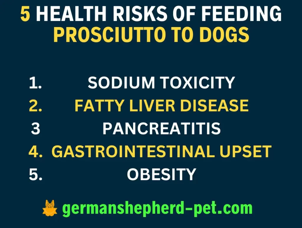 health-risks-of-feeding-prosciutto-to-your-dog